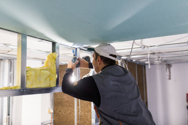 Best Eco-Friendly Insulation in Bono, AR
