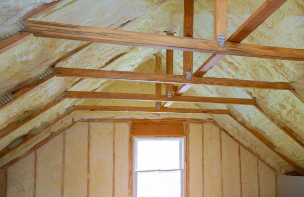 Best Geographic-Specific Insulation Services in Bono, AR