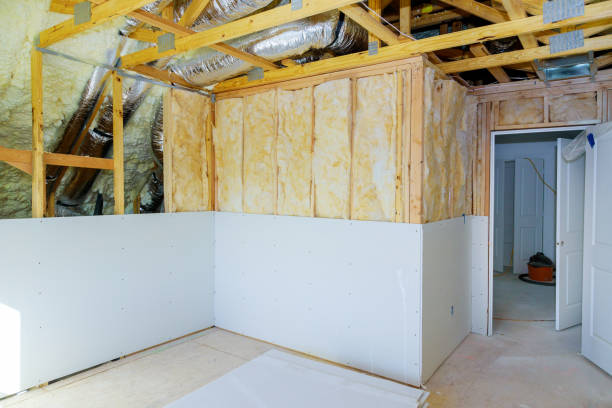 Best Spray Foam Insulation in Bono, AR