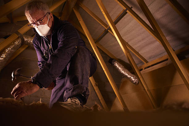 Types of Insulation We Offer in Bono, AR